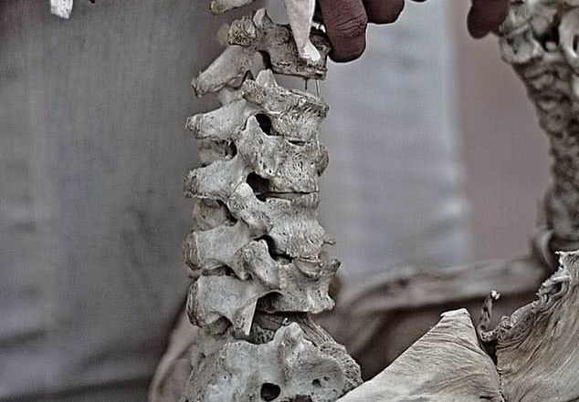 印尼富二代炫富包包用人类儿童脊椎和鳄鱼舌头制作