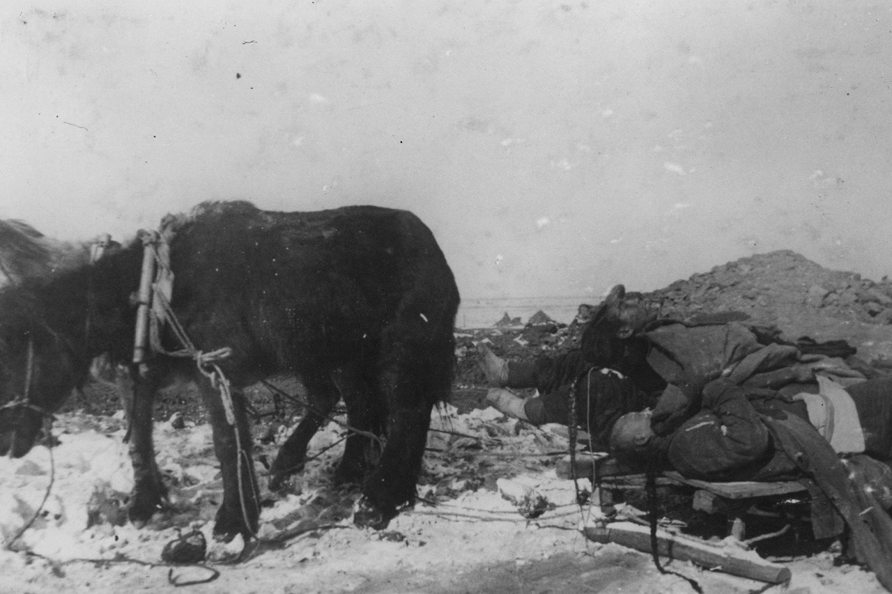 1910年10月25日,满洲里一家客栈爆发鼠疫并出现死亡案例.