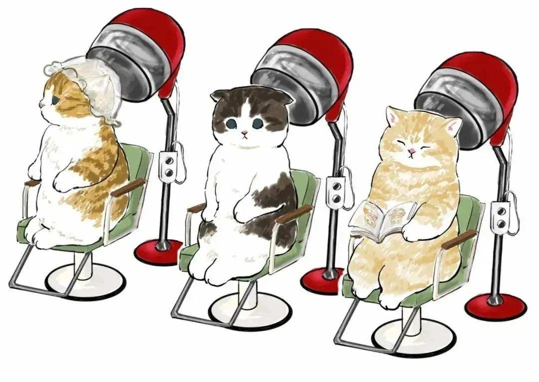 日本胖猫疫情期间火爆网络撸猫又掀起一片狂潮