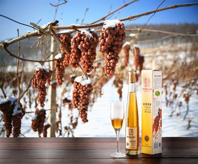 男人喝出霸气和温柔 女人喝出妖艳和甜蜜——这就是冰酒!_葡萄园