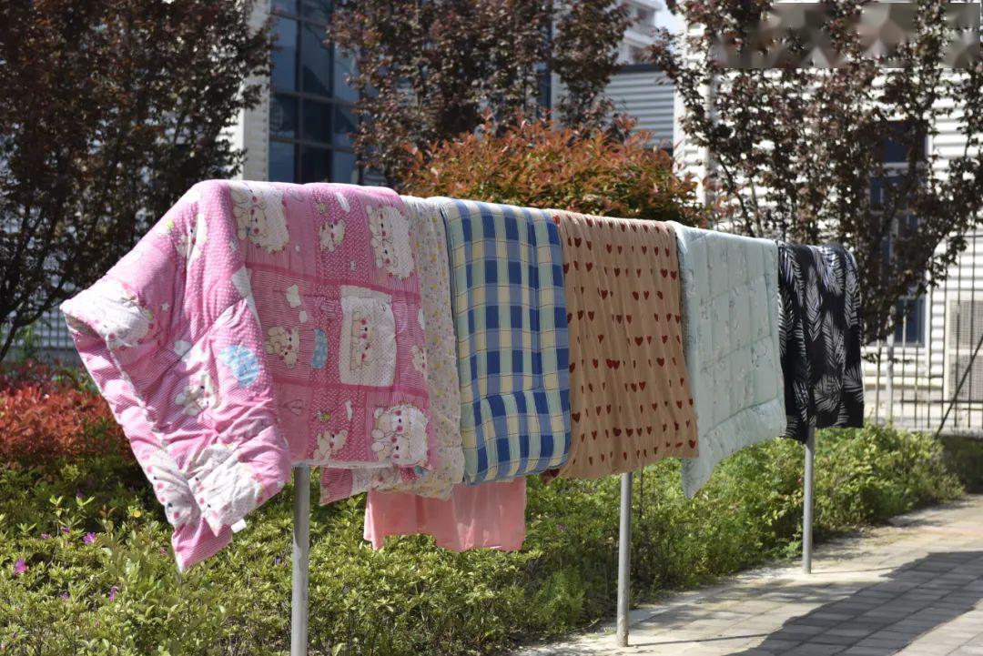 安排苏信最美阿姨在线接单晒被子一切都是暖暖的