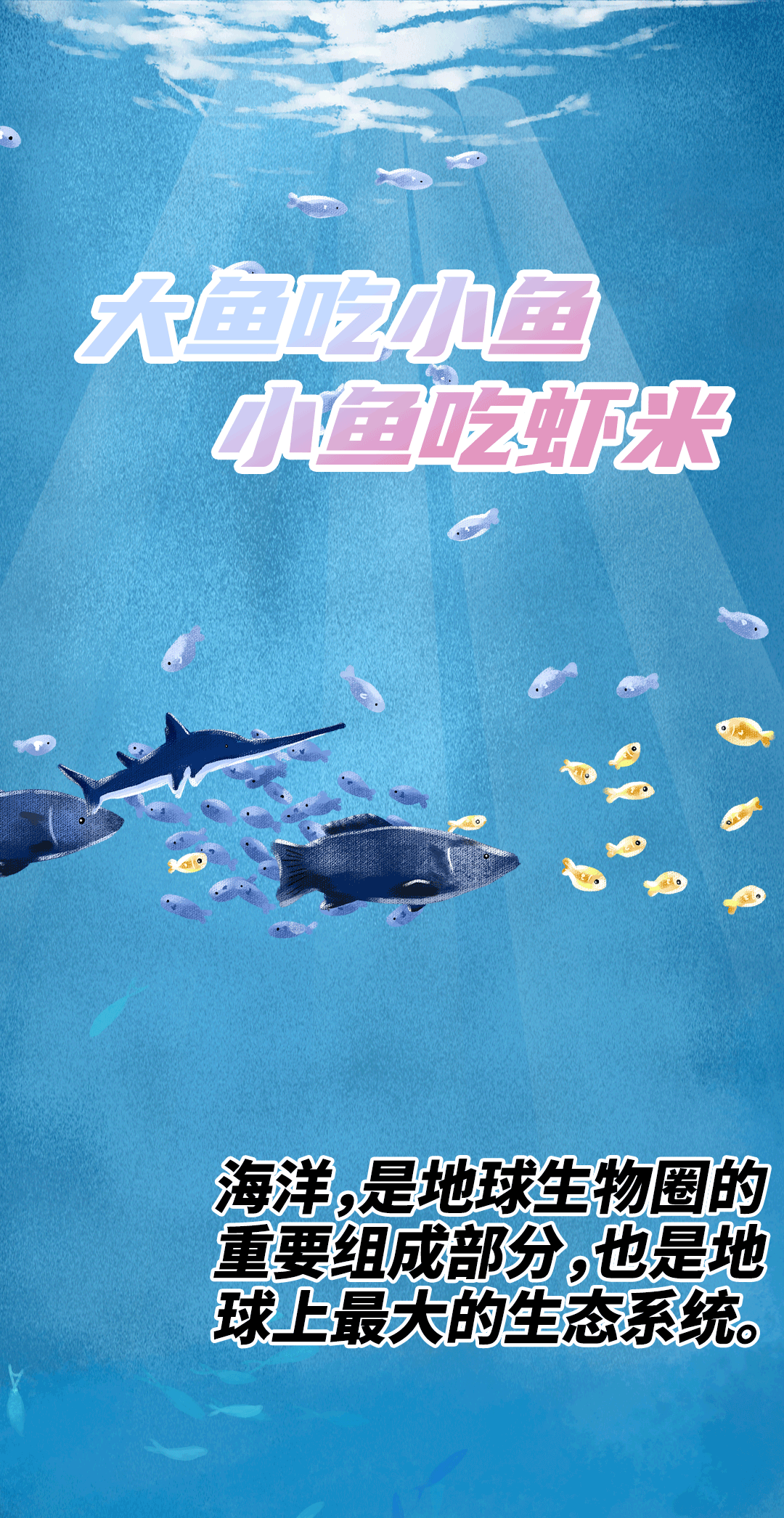 海洋冷知识海洋食物链