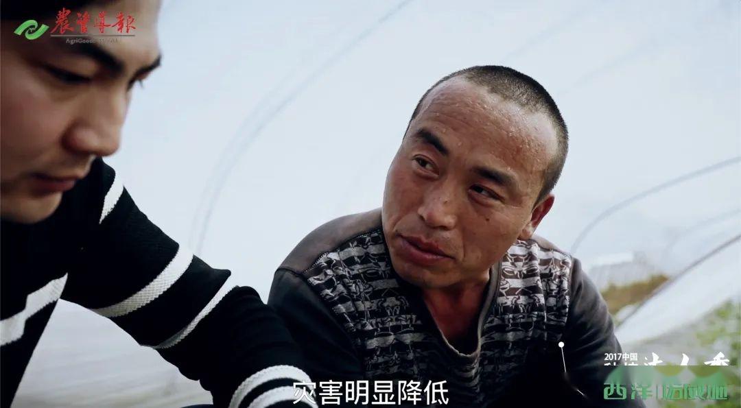 种植达人西瓜种植户李成栋当好全村奔小康带头人