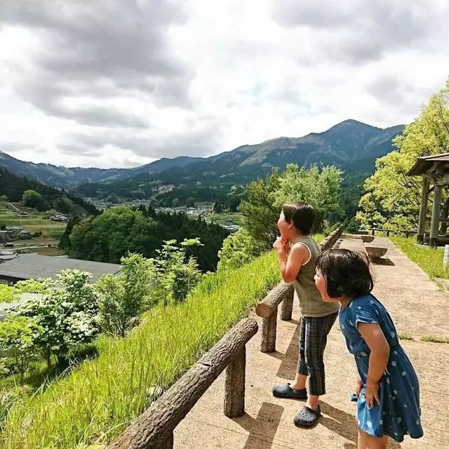 花花草草,这样的生活平凡又充满诗意……亲爱的读者,你向往的生活,是