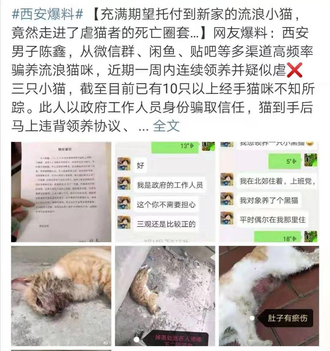 虐猫人已经在不断的升级,难道我