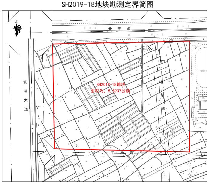 长丰县陶楼镇规划图图片