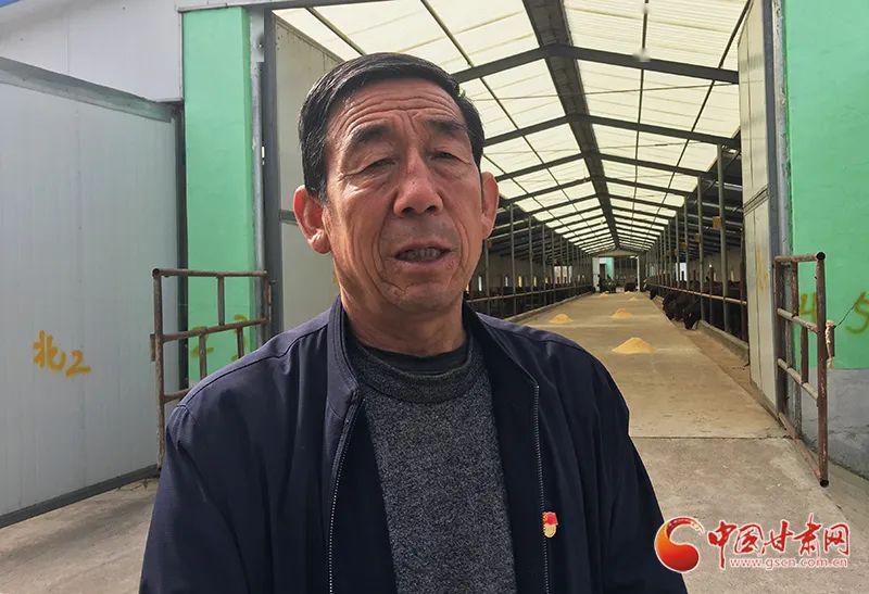 黑安格斯哞哞叫牛支书带领村民走上致富快车道