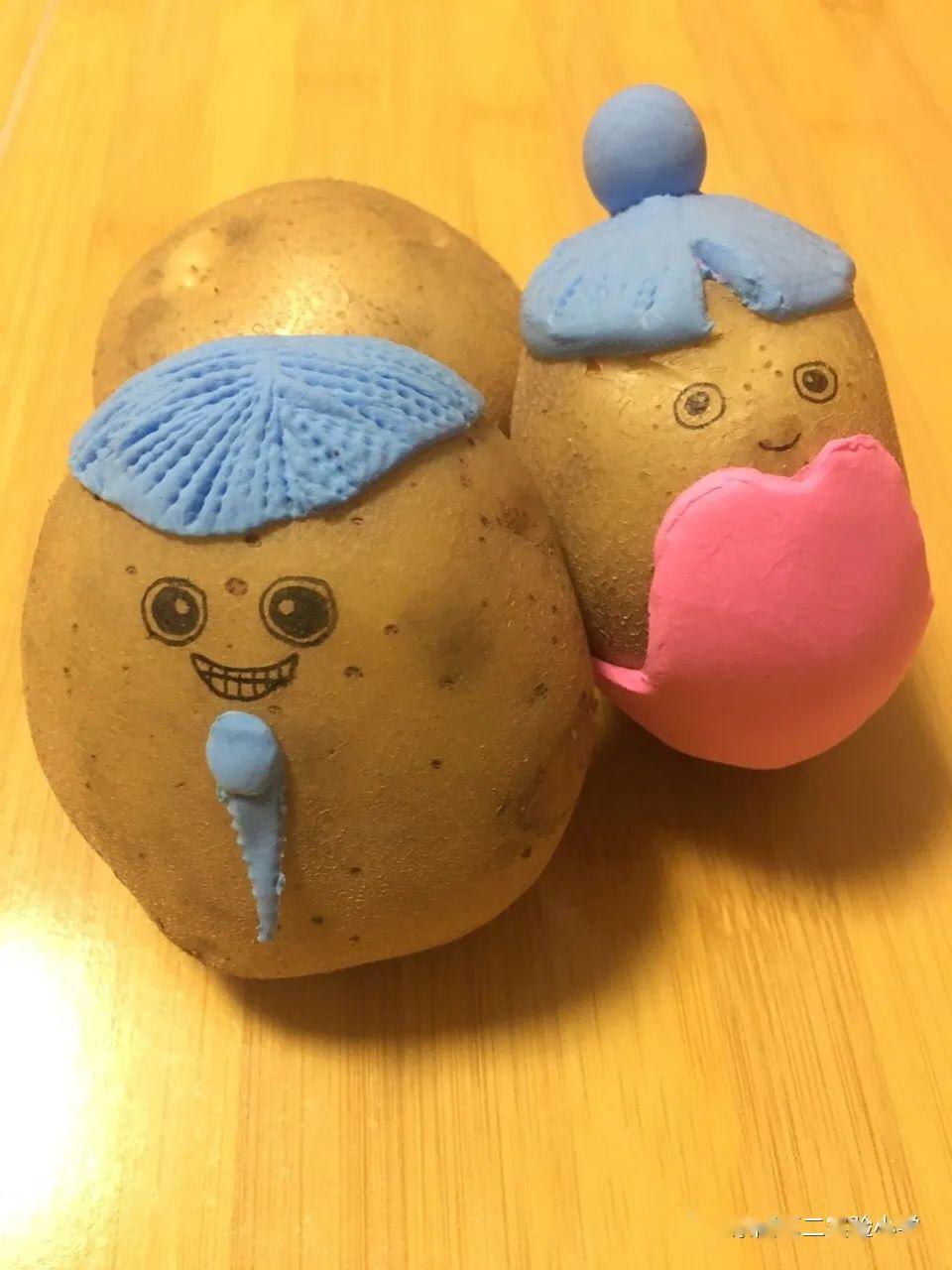 市第二实验小学potato土豆装置艺术展系列之二