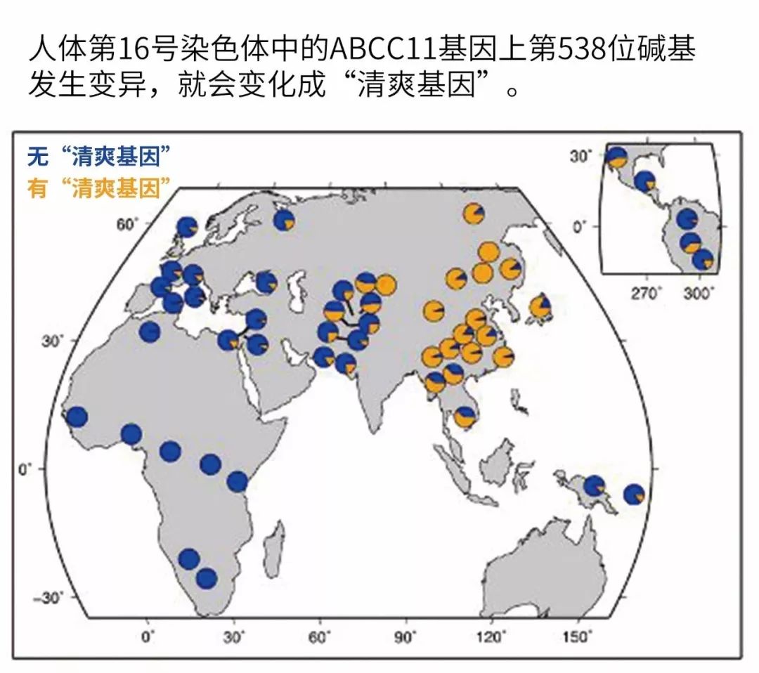 钟楚曦杨采钰因为这点一起排挤苗苗,可其实她们也.