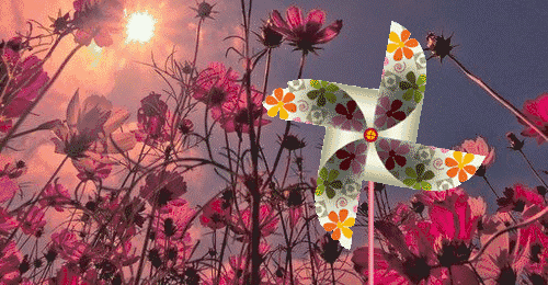 500_260gif 动态图 动图