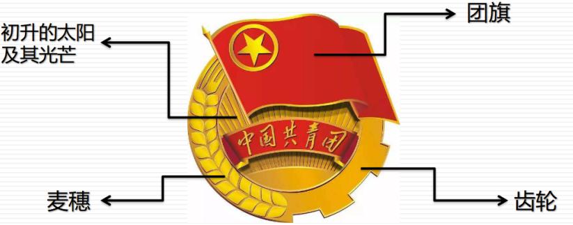 徐汇青年讲师团云团课第6期丨金光闪闪的团徽