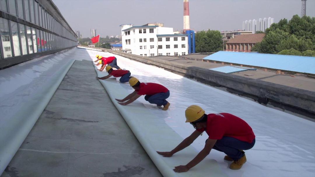 东方雨虹tpo在红旗长春基地项目的应用