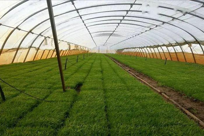 当今现代物理农业的四个高端技术和产品你知多少