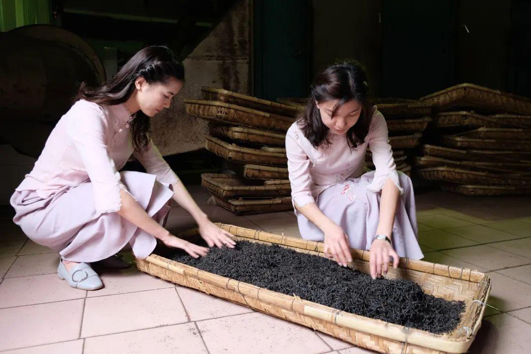 茶是故乡浓佛山藏了个清新茶场满目青翠茶树淡淡茶香弥漫