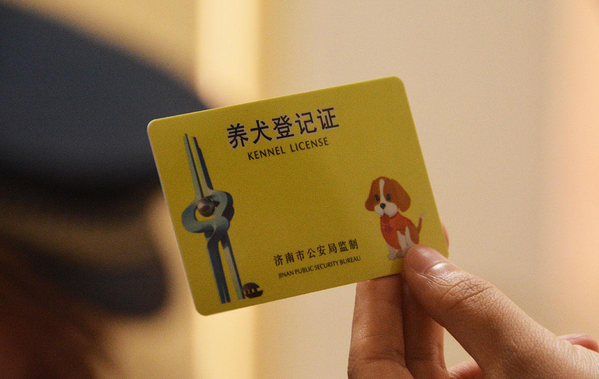 原创狗狗出车祸,责任该如何进行判定?铲屎官需要准备什么材料?