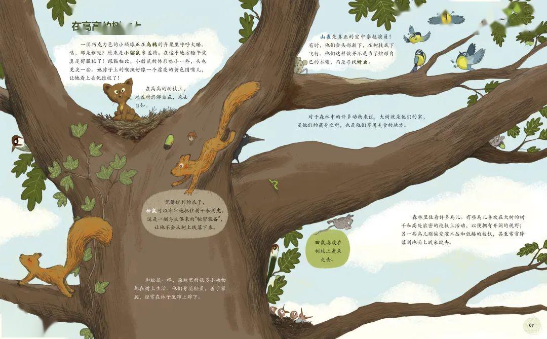 朱永新推荐:这本书被誉为绘本版的"森林报",快来一起看看吧!