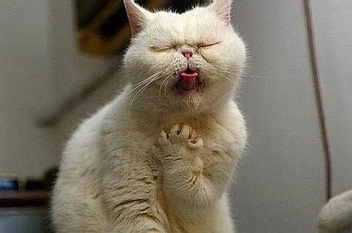 他却不敢就医咳嗽不断