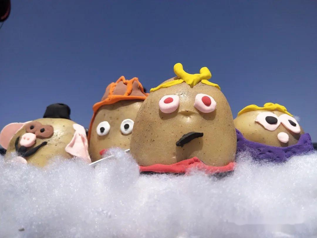 市第二实验小学potato土豆装置艺术展系列之二