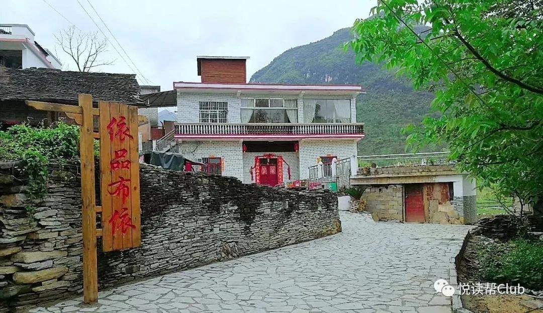 恩桃熟咯快来讨恩桃镇宁马厂镇樱桃产业园请你来耍