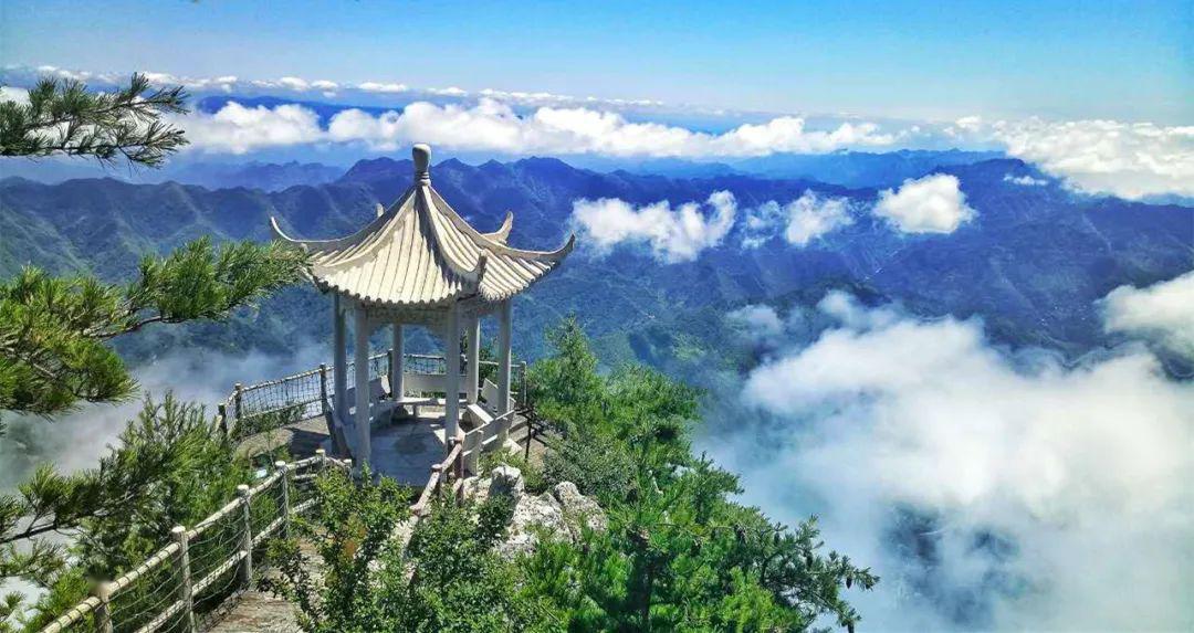天竺山国家森林公园暖了整个春天.