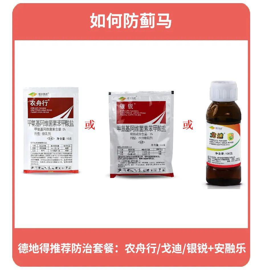 第二步:杀菌剂的使用.