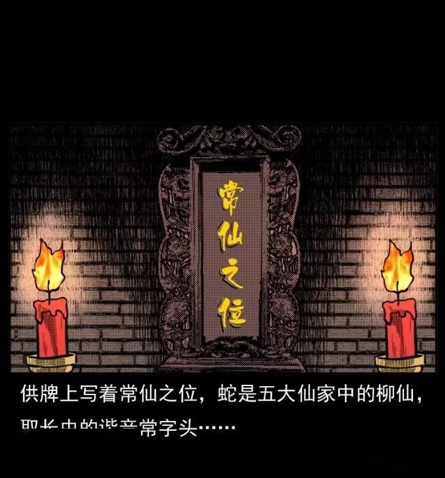 保家仙之常仙