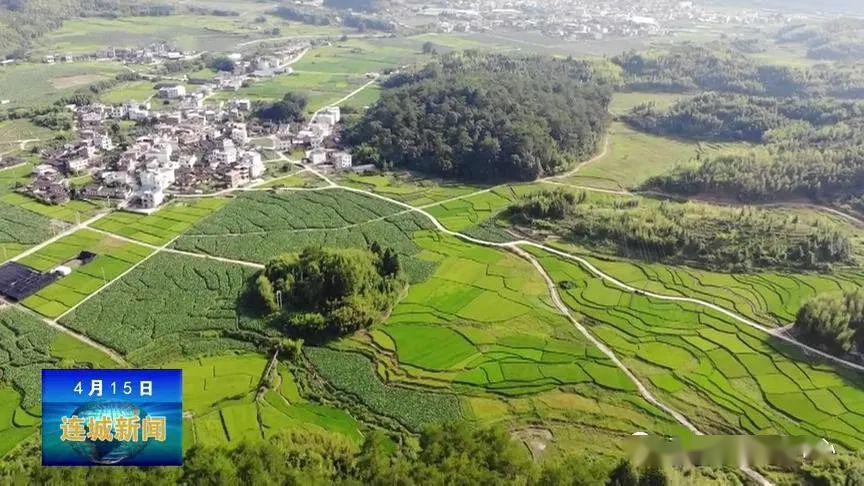 近年来,姑田镇结合《连城县省级乡村振兴试点示范实施意见》提出的"一