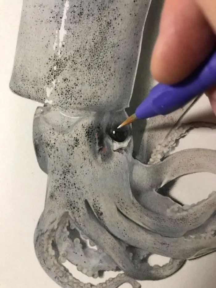 日本艺术家手绘3d鱿鱼,看完整个绘画过程,让人佩服极了