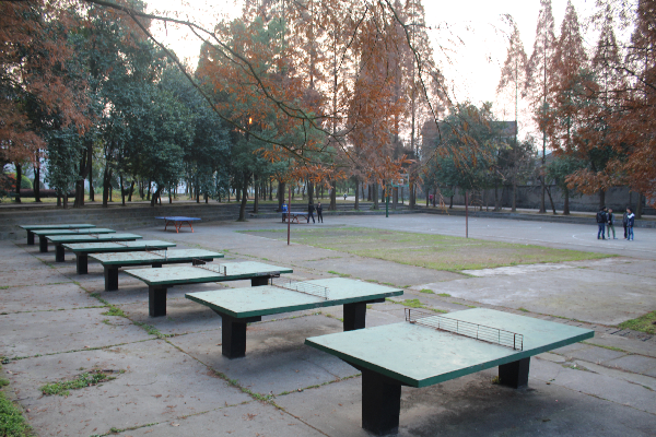 洪江市黔阳一中学校简介及学校环境