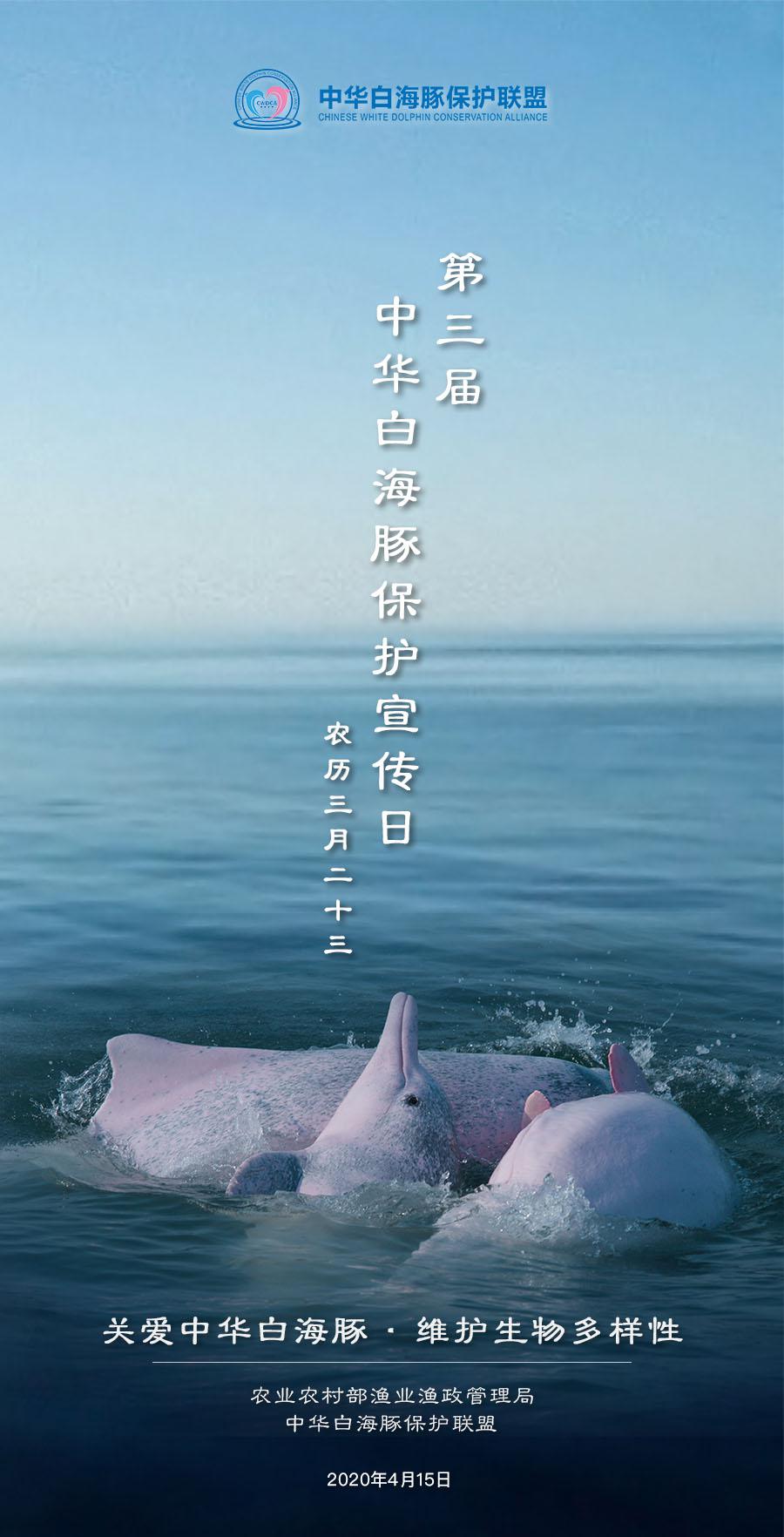第三届中华白海豚保护宣传日活动圆满举办