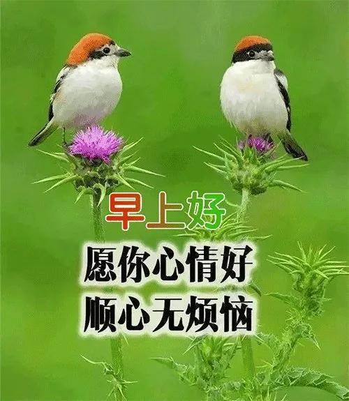 2020年4月16日早上好圖片週四早安圖片帶字帶祝福語