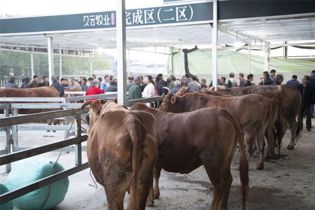 牛!平昌这个市场真的 牛