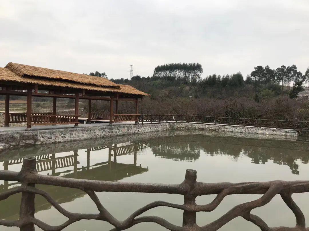 马坪镇抖音=马坪镇有什么景点