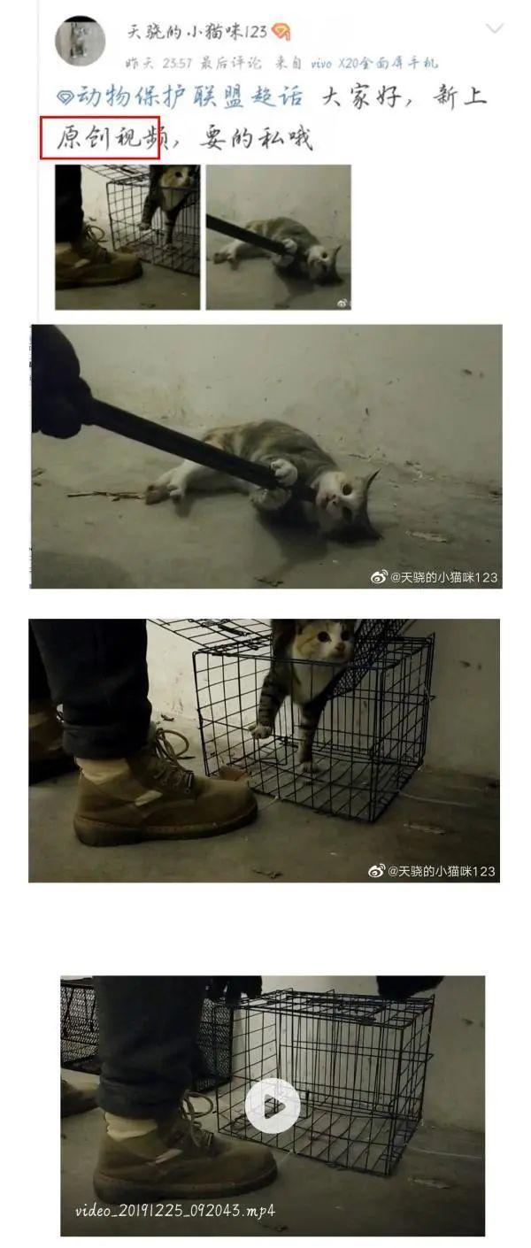 山东理工大学那个虐猫拍视频贩卖的大学生范某被退学了