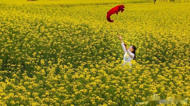 春天来时我在汉中的风景里