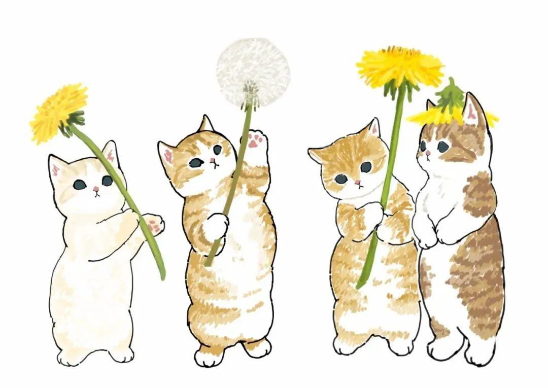 日本胖猫疫情期间火爆网络撸猫又掀起一片狂潮