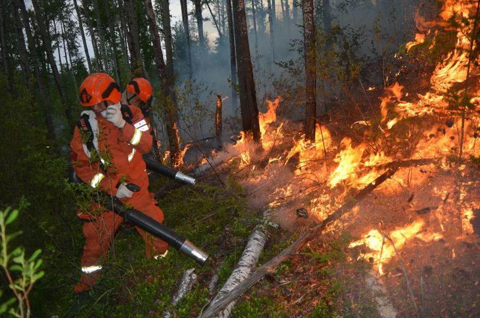 微普法凉山木里森林火灾嫌疑人11岁他会被判刑吗