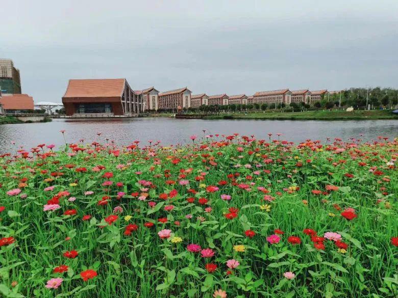 北部湾大学景区图片