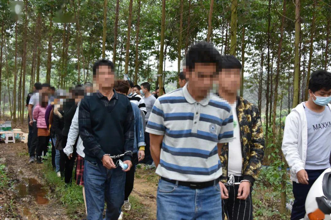 阳江有一群男女在树林里干这事全部被抓羞家咯