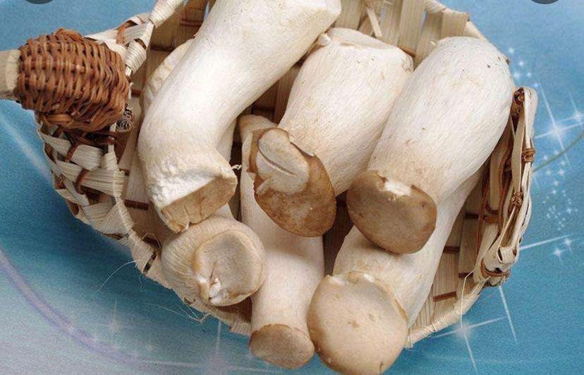 蘑菇吃得好,肉也比不了!3分钟了解5种菌菇,怎么搭配更健康?