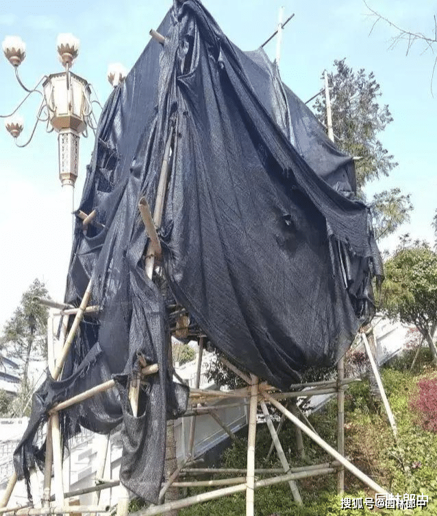 高温季节移栽树木时如何正确使用遮阴网才不会对树木造成伤害