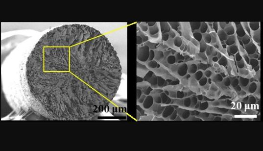 接下来,在纤维内的孔隙中填充聚乙二醇(peg),这是一种相变材料,在热时