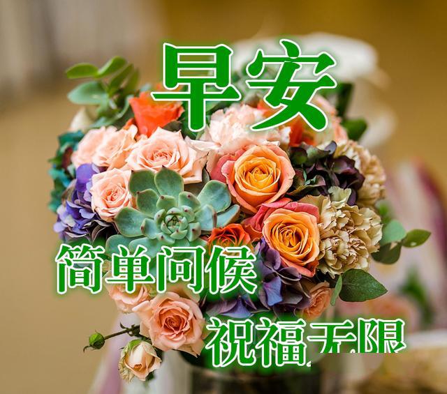 早上好一声祝福一句问候好运相随