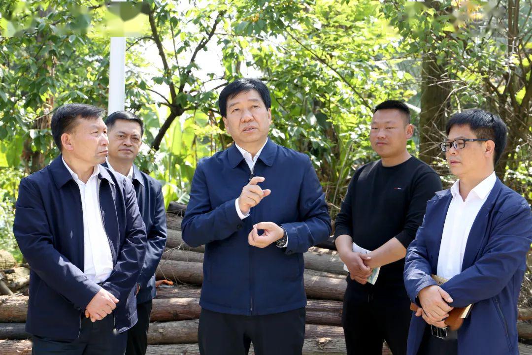 王忠到六枝特区调研脱贫攻坚巩固提升和小康菜园建设工作