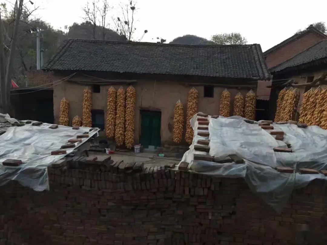 五年前的王庄村原貌现在的王庄村春可踏青赏花,夏可戏水露营,秋可采摘