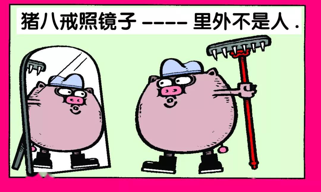 猪八戒照镜子