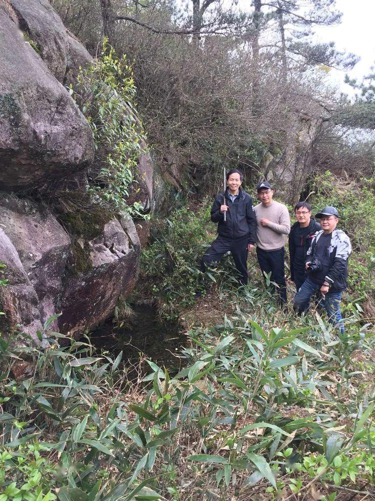 3月22日下午,我与治飞,永槐,军斌来到石梁镇龙皇堂村,攀雨伞岩之后山