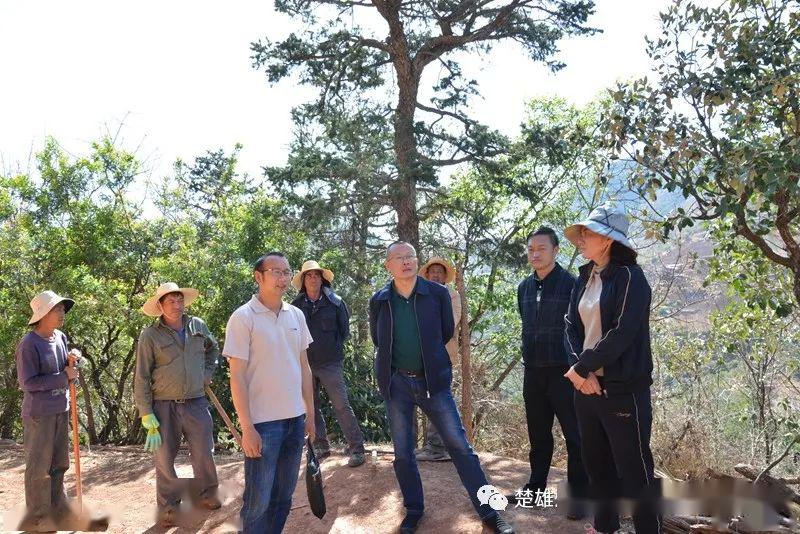 黄云雁深入武定县高桥镇木衣拉村调研