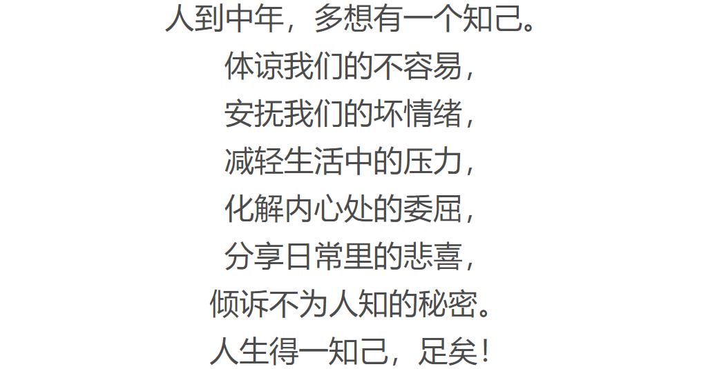 人到中年,需要一个知己.