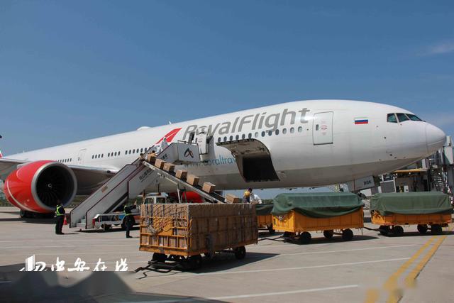 600万只口罩从合肥新桥机场飞抵俄罗斯